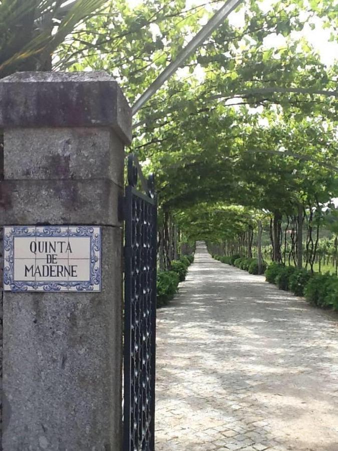 Villa Quinta De Maderne à Felgueiras Extérieur photo